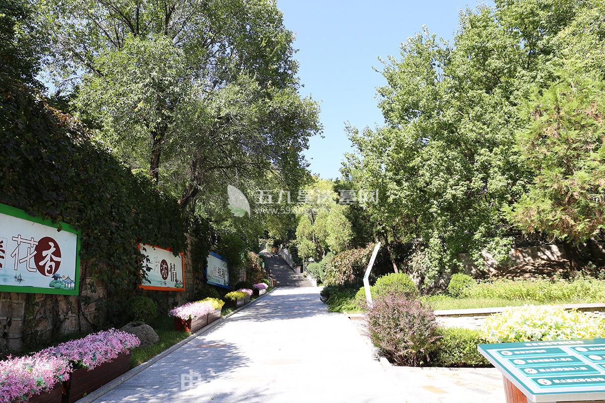 八达岭陵园墓区通道 八达岭陵园墓区通道