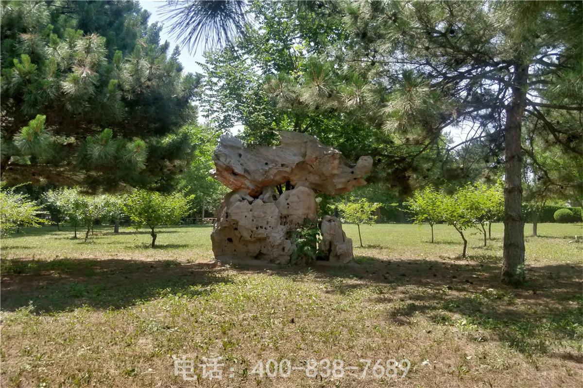 万桐墓园墓区景观 万桐墓园墓区景观